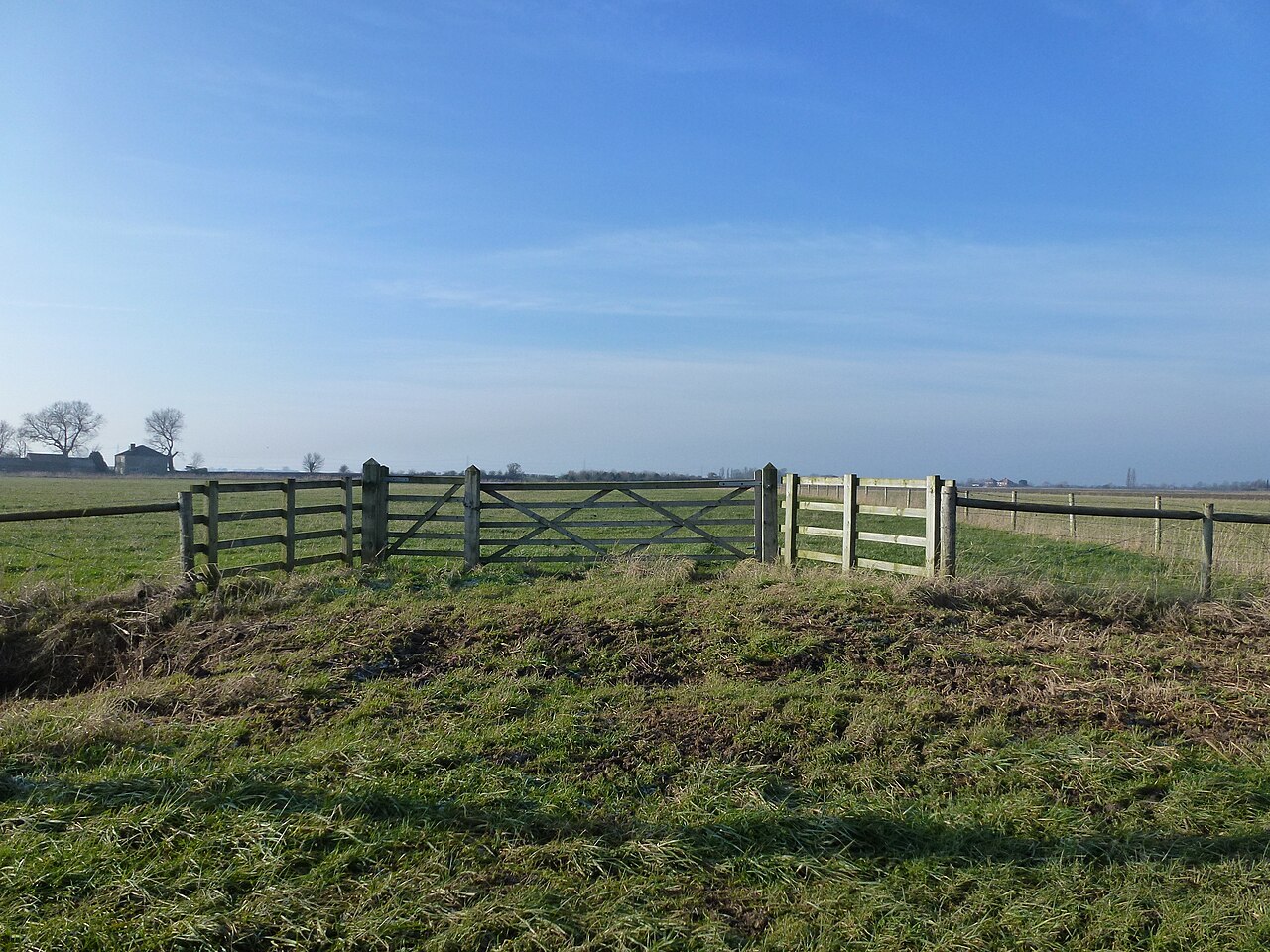 Sítio 42 hectares com pasto formado — Paraíso