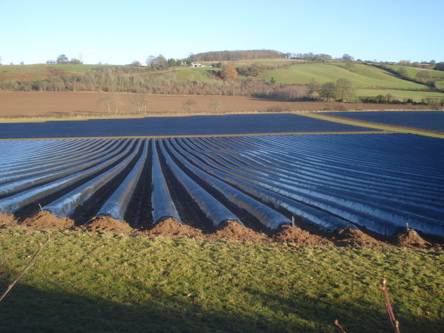 Fazenda 620 hectares em Porto Nacional – TO