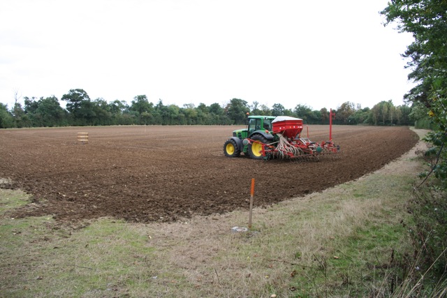 Trator Massey Ferguson 4275 4×4 ano 2019
